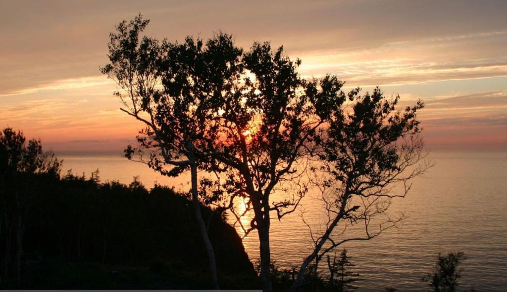 Culloden Cliffside Bed & Breakfast المظهر الخارجي الصورة