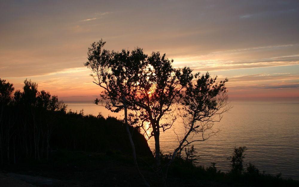 Culloden Cliffside Bed & Breakfast المظهر الخارجي الصورة